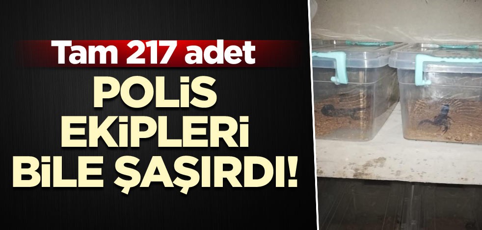 Polis ekipleri bile şaşırdı! Tam 217 adet