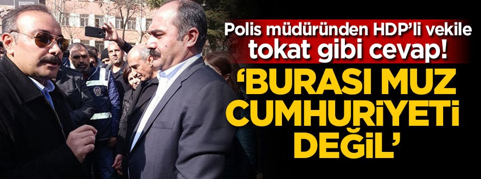 Polis müdüründen HDP'li vekile tokat gibi cevap!