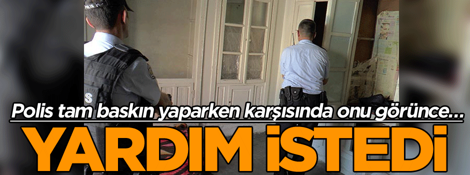 Polis tam baskın yaparken karşısında onu görünce… Yardım istedi