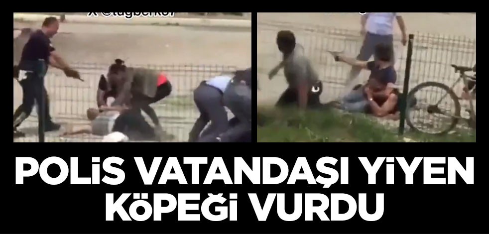 Polis, vatandaşı yiyen köpeği vurdu! Kadın çığlık atıp