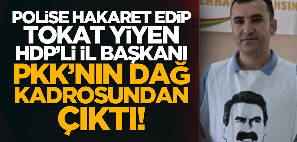Polise hakaret edip tokat yiyen HDP’li il başkanı, PKK’nın dağ kadrosundan çıktı!