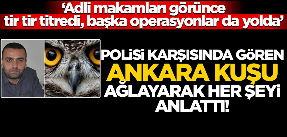 Polisi karşısında gören ‘Ankara Kuşu’ ağlayarak bülbül gibi ötmüş!