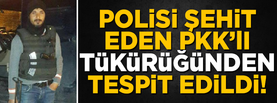 Polisi şehit eden PKK'lı terörist, tükürüğünden tespit edildi