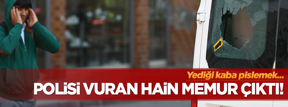 Polisi vuran hain devlet memuru çıktı