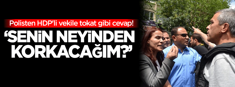 Polisten HDP'li vekile: Senin neyinden korkacağım?