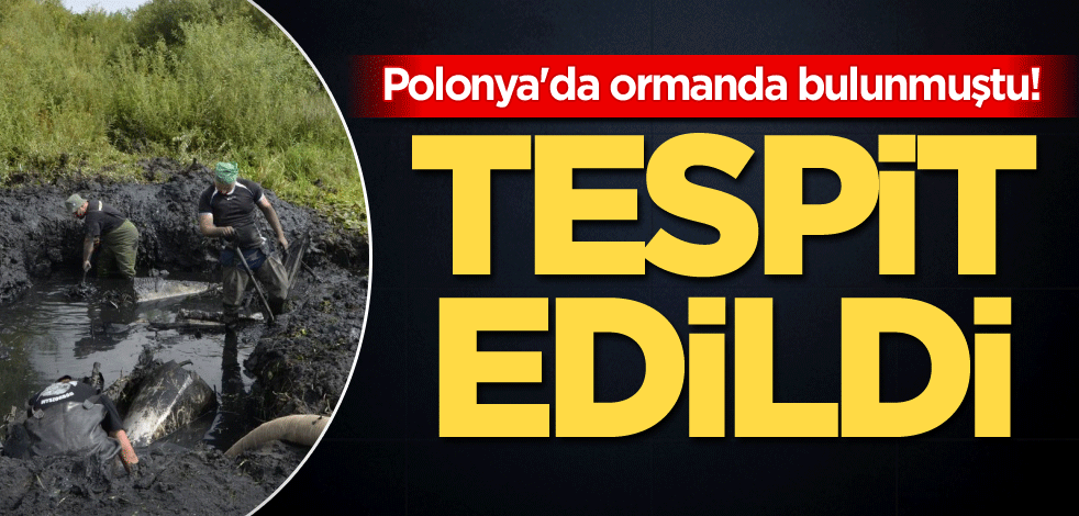 Polonya'da ormanda bulunmuştu! Tespit edildi