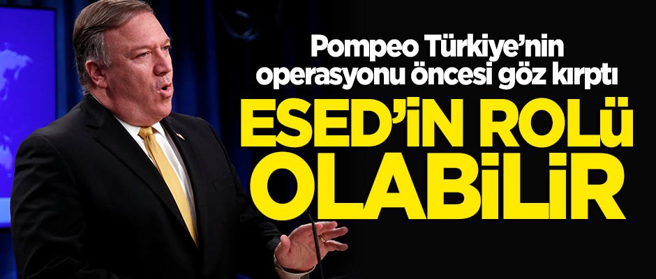Pompeo Türkiye'nin operasyonu öncesi göz kırptı: Esed'in rolü olabilir