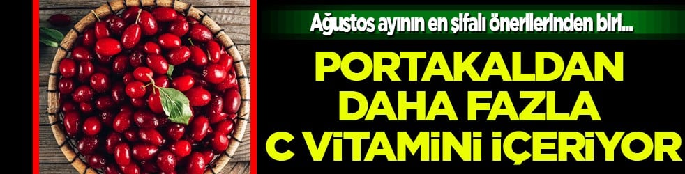 Portakaldan daha fazla C vitamini içeriyor: Ağustosun en değerli meyvelerinden biri