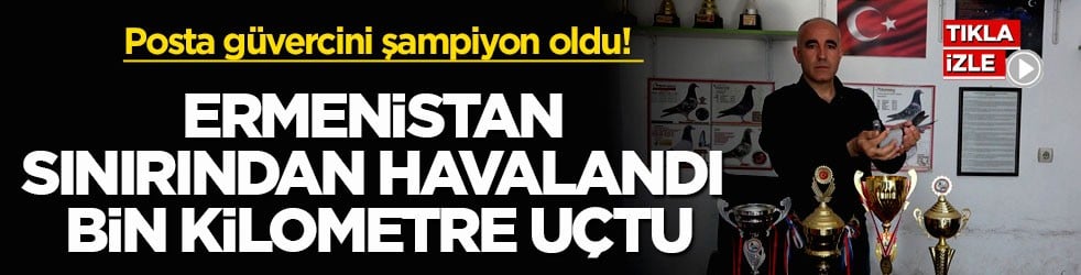 Posta güvercini şampiyon oldu! Ermenistan sınırından havalandı, bin kilometre uçtu