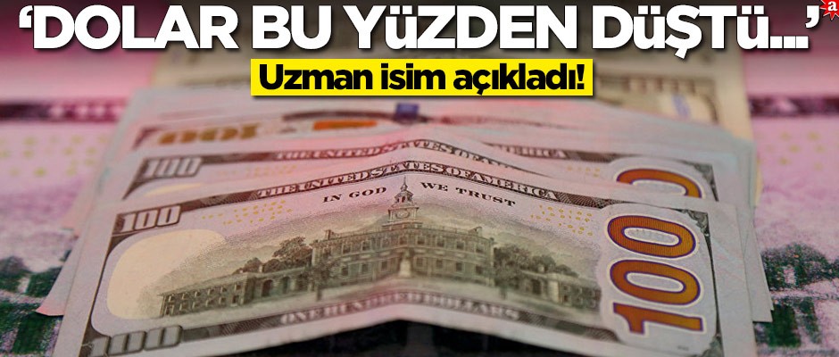 Prof. Alkın'dan Dolar yorumu: S-400 geriliminden umudu olanlar boşa düştü