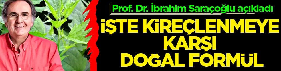 Prof. Dr. İbrahim Saraçoğlu’nun kürü: Kireçlenmeye karşı doğadan gelen şifa kaynaklarından önlem alabiliriz