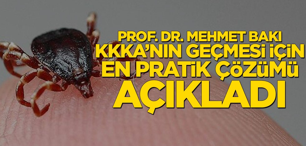 Prof. Dr. Mehmet Bakı KKKA’nın geçmesi için en pratik çözümü açıkladı