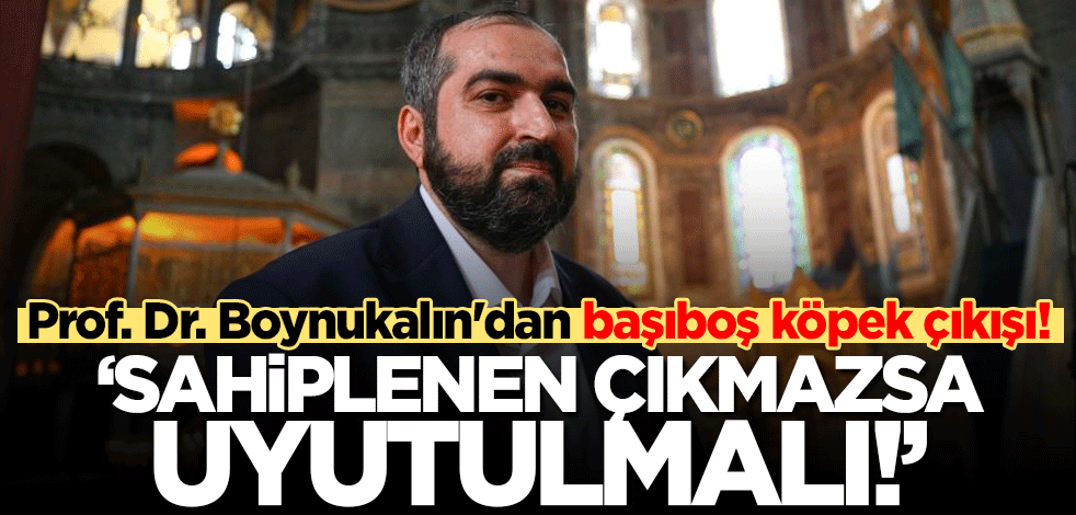 Prof. Dr. Mehmet Boynukalın'dan başıboş köpek çıkışı! 'Sahiplenen çıkmazsa uyutulmalı'