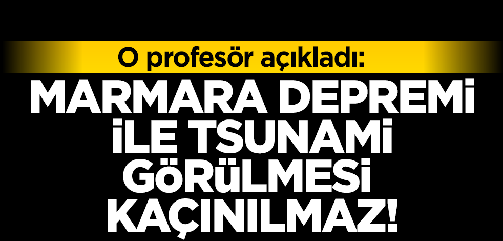 Prof Dr Şükrü Ersoy Marmara Depremi Ile Denizde Tsunami Görülmesi De Kaçınılmazdır Yeni Akit 