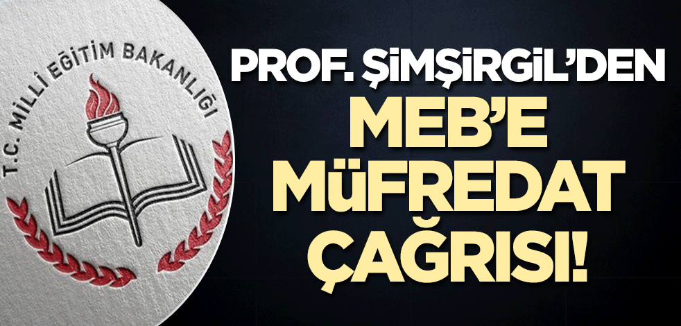 Prof. Şimşirgil'den MEB'E önemli çağrı! 'Bırakalım teknik konuları'
