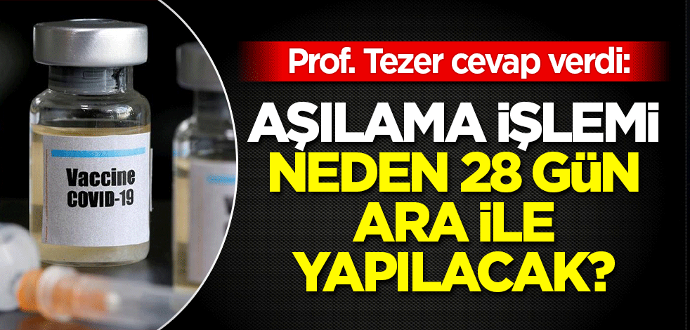 Prof. Tezer cevapladı: Aşı neden 28 gün arayla uygulanacak?