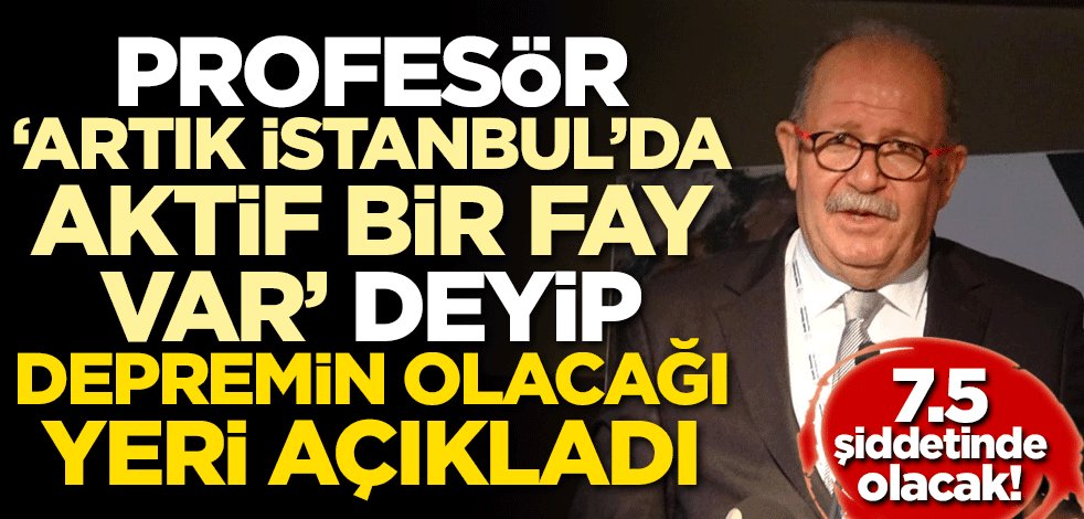 Profesör 'Artık İstanbul'da aktif fay var' deyip depremin olacağı yeri söyledi