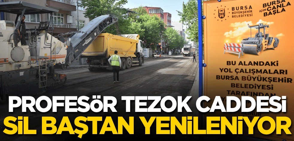 Profesör Tezok Caddesi sil baştan yenileniyor