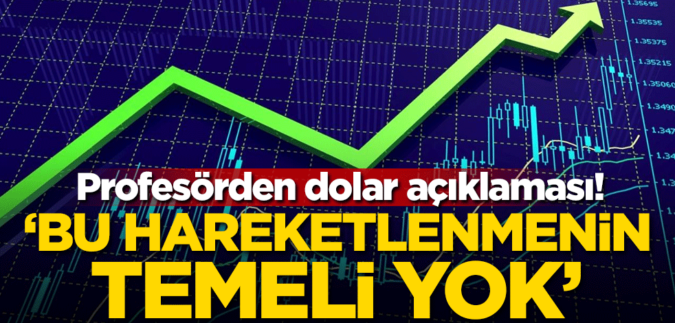 Profesörden dolar açıklaması: Bu hareketlenmenin temeli yok