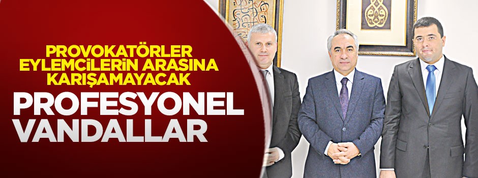 Profesyonel vandallar