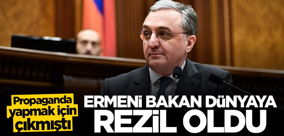 Propaganda yapmak için çıkmıştı... Ermeni bakan dünyaya rezil oldu