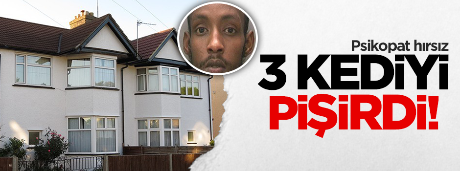 Psikopat hırsız 3 yavru kediyi pişirdi!