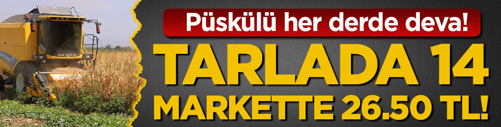 Püskülleri bile her derde deva: Tarlada 14, markette 26.50 TL!