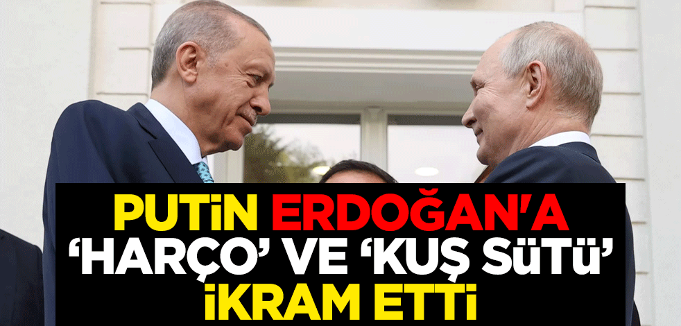 Putin, Soçi'de Erdoğan'a ‘harço’ çorbası ve ‘kuş sütü’ tatlısı ikram etti