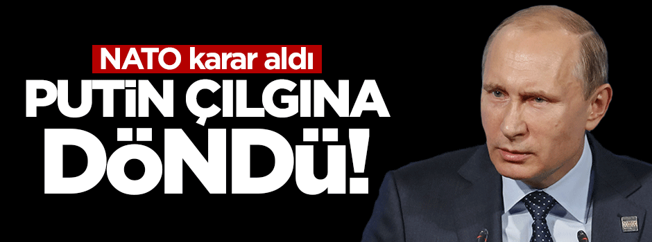 Putin'i çılgına döndüren karar!