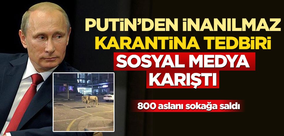 Putin'in insanların evde kalması için 800 aslanı sokağa saldığı iddiası sosyal medyayı karıştırdı