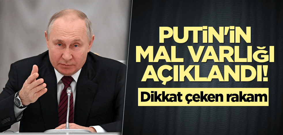 Putin'in mal varlığı açıklandı! Dikkat çeken rakam
