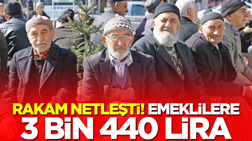 Rakam netleşti: Emeklilere 3 bin 440 lira 