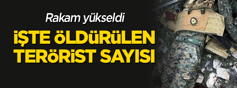 Rakam yükseldi! İşte Afrin'de öldürülen terörist sayısı
