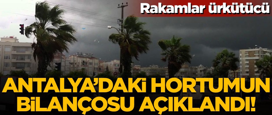Rakamlar korkunç! Antalya'daki hortum felaketinin bilançosu açıklandı