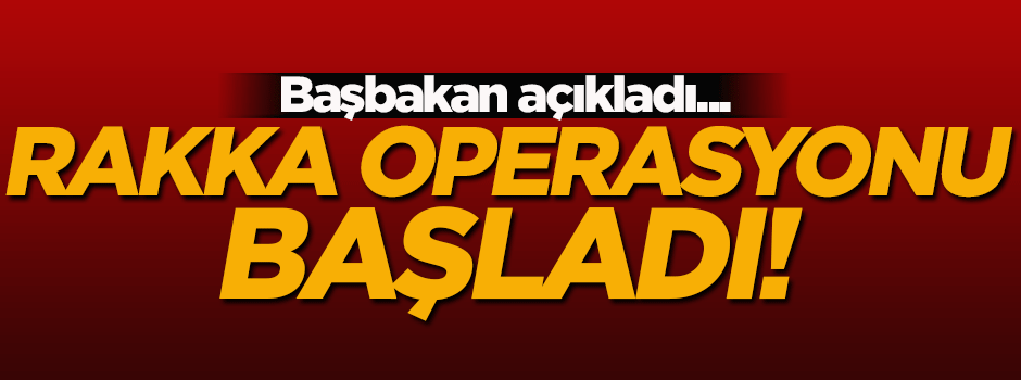 Rakka operasyonu başladı!