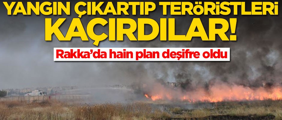 Rakka'da hain plan! Yangın çıkartıp teröristlerin kaçmasına yardım ettiler