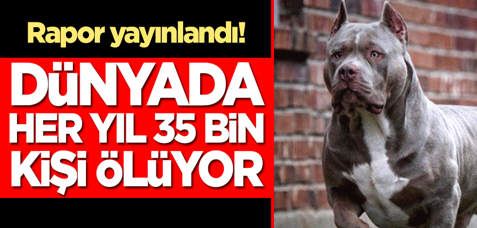 Rapor yayınlandı! Dünyada her yıl 35 bin kişi ölüyor