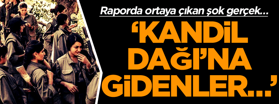 Raporda ortaya çıkan şok gerçek… ‘Kandil Dağı’na gidenler…’
