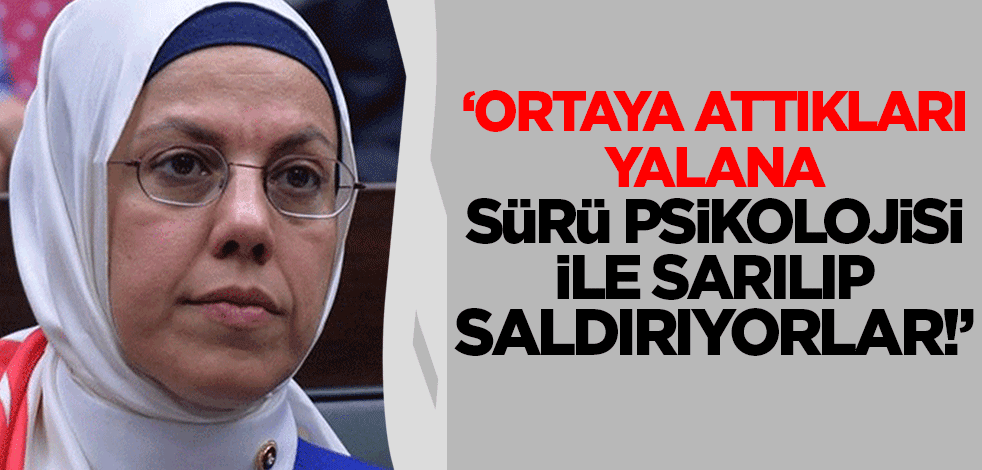 Ravza Kavakcı Kan Yeni Akit'e konuştu: Ortaya attıkları yalan üzerinden sürü psikolojisi ile saldırıyorlar!