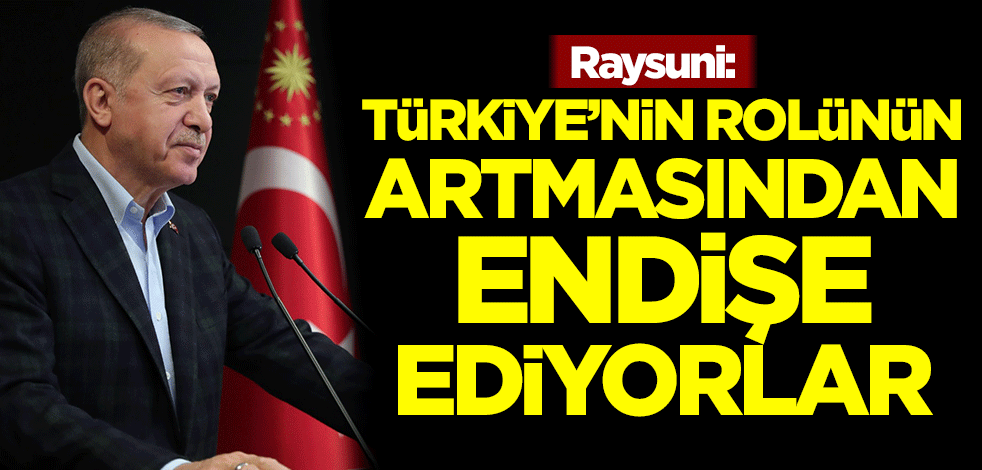 Raysuni: Türkiye'nin rolünün artmasından endişe ediyorlar