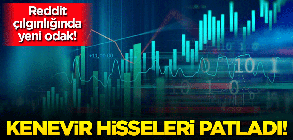 Reddit çılgınlığında yeni odak! Kenevir hisseleri patladı