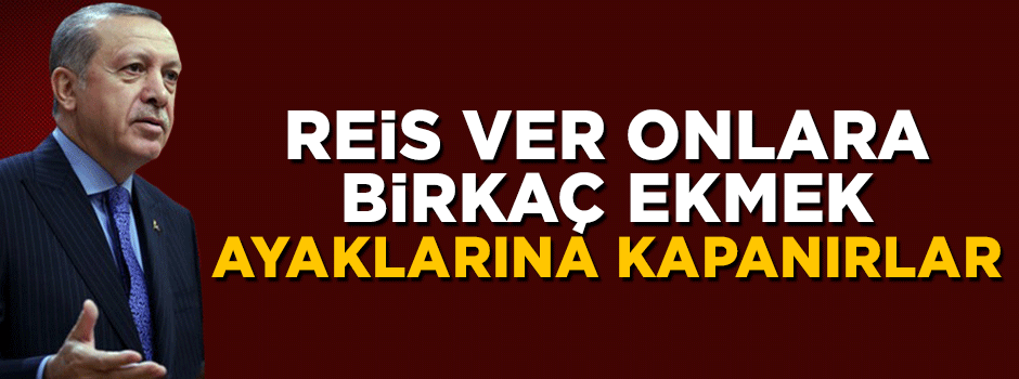 Karahasanoğlu: Reis; ver onlara birkaç ekmek, ayaklarına kapanırlar!