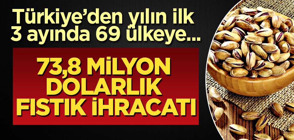 Türkiye'den yılın ilk 3 ayında 73,8 milyon dolarlık fıstık ihraç edildi! Resmen duyuruldu!