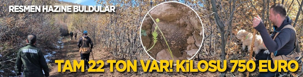 Resmen hazine buldular! Yer altında 22 ton tespit edildi: Kilosu 750 euro