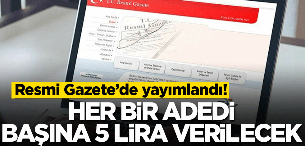 Resmi Gazete'de yayımlandı! Her bir adedi başına 5 lira verilecek