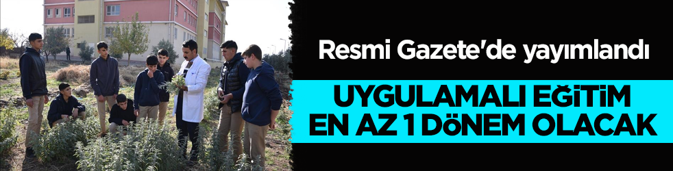 Resmi Gazete'de yayımlandı: Uygulamalı eğitim en az 1 dönem olacak