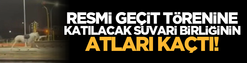 Resmi geçit törenine katılacak süvari birliğinin atları kaçtı!