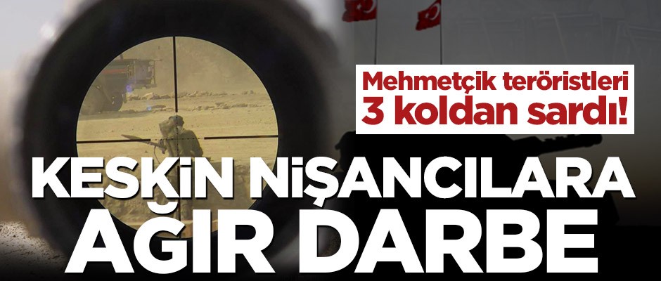 Resulayn'da 6 keskin nişancı etkisiz hale getirildi