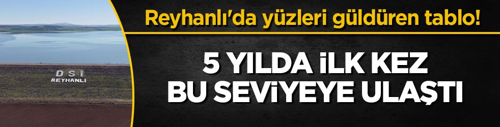 Reyhanlı'da yüzleri güldüren tablo! 5 yılda ilk kez bu seviyeye ulaştı