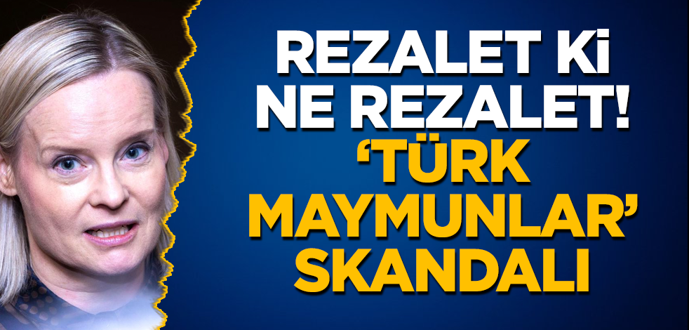 Rezalet ki ne rezalet! 'Türk maymunlar' skandalı
